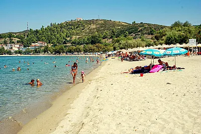 beach.webp